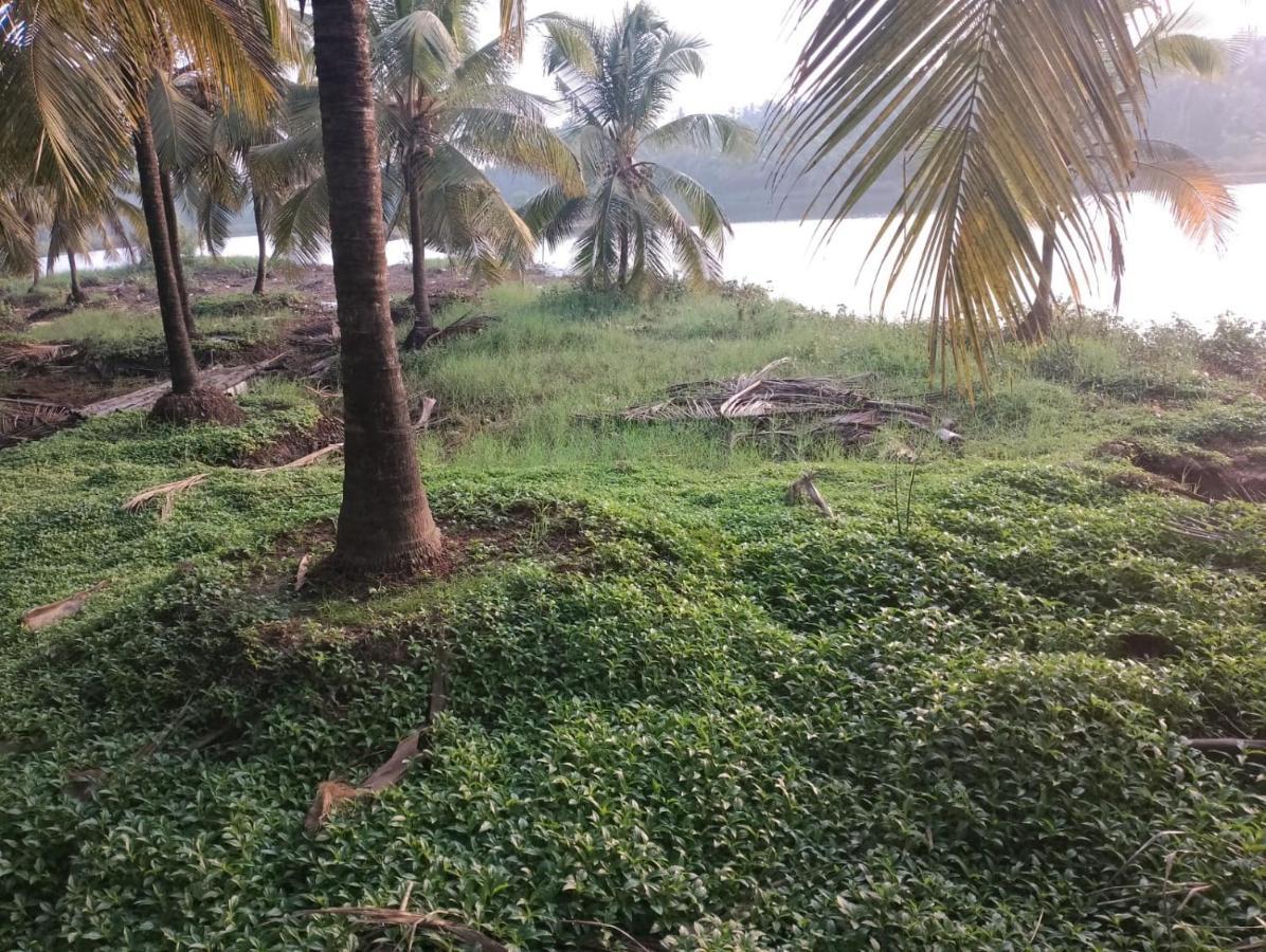 Bekal Village Homestay Касарагод Экстерьер фото